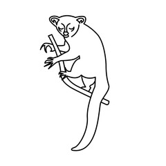 aye-aye of wild animal outline icon set