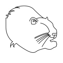 nutria of wild animal outline icon set