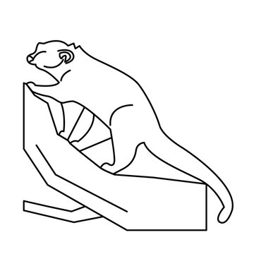 recommend clip art: binturong of wild animal outline icon set