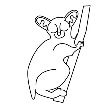 recommend clip art: bush baby of wild animal outline icon set
