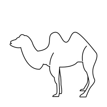 recommend clip art: camel of wild animal outline icon set
