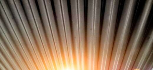 background with rays