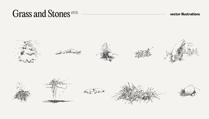 High detail hand drawn vector illustration of grass and stones, realistic drawing, sketch - 639757974