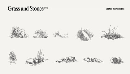 High detail hand drawn vector illustration of grass and stones, realistic drawing, sketch - 639758116