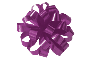 Dark purple gift bow ribbon isolated on transparent background.