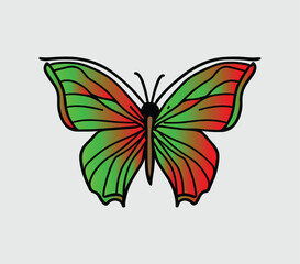 butterfly illustration vector 