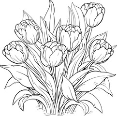 Tulips