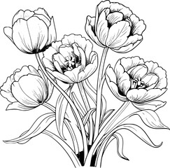 Tulips