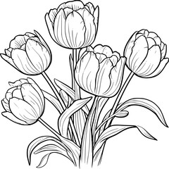 Tulips