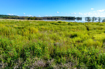 Fototapeta premium Amur river banks near Malmyzh (Nanaysky district, Khabarovsk krai, Russia)