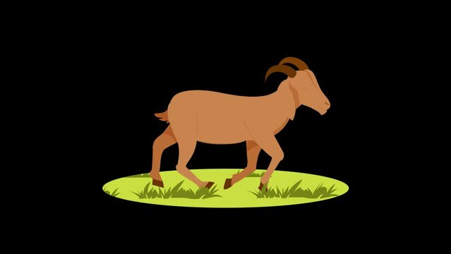 Cartoon Goat animated on Black Background