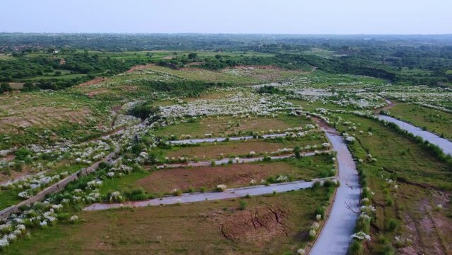 Ploting in between the Agriculture field