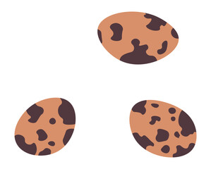 Quail eggs, ingredient for cooking food and dishes