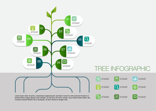 Infographic business tree chart to present data, progress, direction, growth, idea, infographic that outlines the steps of the management process can be a useful tool for organizations to visualize