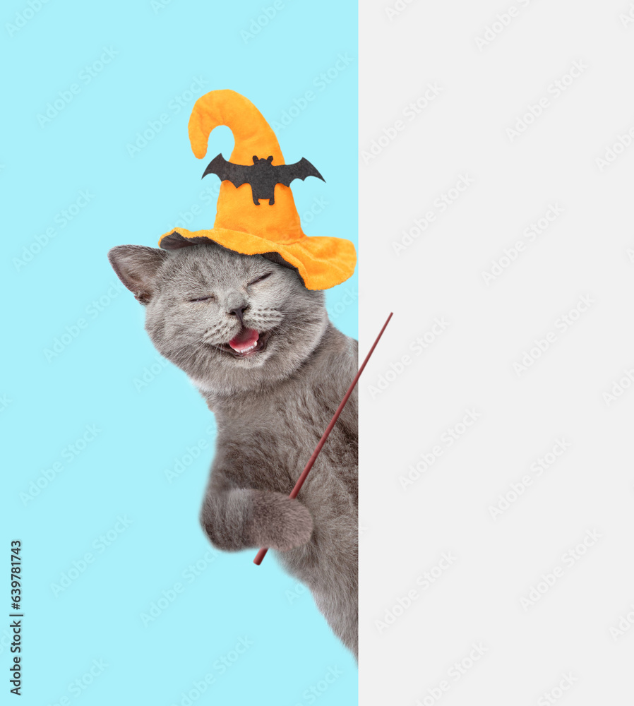 Poster happy cat wearing hat for halloween points points away on empty white banner. isolated on blue backg