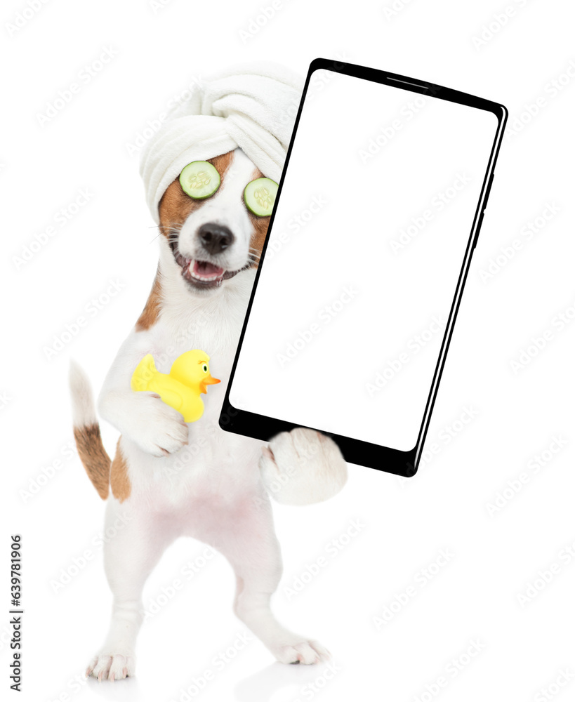 Poster Funny jack russell terrier puppy with towel on it head and with  pieces of cucumber on it eyes holds rubber duck and big smartphone with white blank screen in it paw. isolated on white background