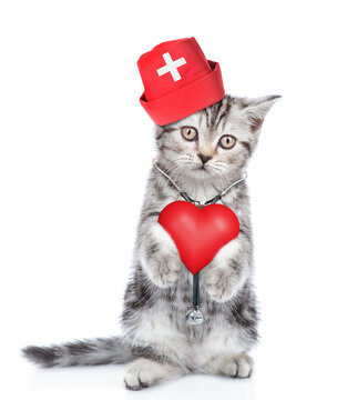Smart kitten wearing like a doctor with stethoscope on his neck standing on hind legs and holds red heart. isolated on white background