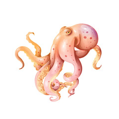octopus watercolor illustration