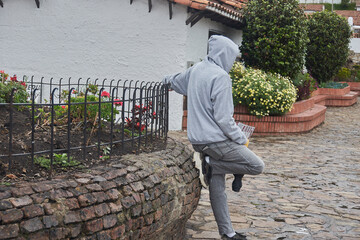 Fototapete bei efototapeten.de bestellen   