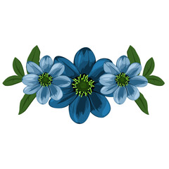 blue flowers on white