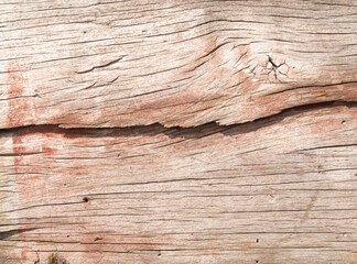 Obraz premium Close-up shot of old wood surface and cracks. wooden plank texture pattern