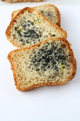 Pieces of bread in mold. Old moldy bread
