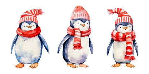 Fototapeta premium isolated watercolor cute penguin