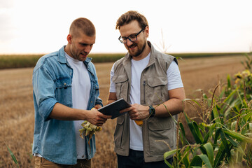 Agronomists use digital tablet for monitoring growth in the field.