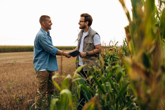 View form the corn field of two men shaking hands.