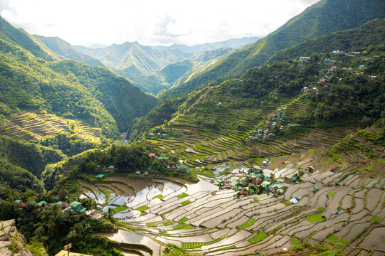 Panoramic aerial view of Batad Rice terraces, Philippines.