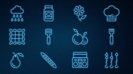 Set line Grilled shish kebab on skewer, Fork, Flower, Spatula, Checkered napkin, Cloud with rain, Fruit and Jam jar icon. Vector