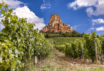 The Mâconnais is located in the south of Burgundy, it is the southernmost vineyard in the region.