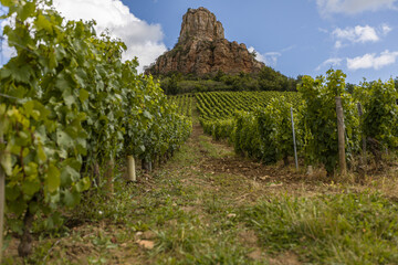 The Mâconnais is located in the south of Burgundy, it is the southernmost vineyard in the region.