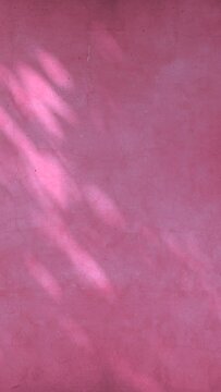 Vertical shadow of bamboo tree leaves moving gently in the wind on faded pink concrete wall background, backdrop	