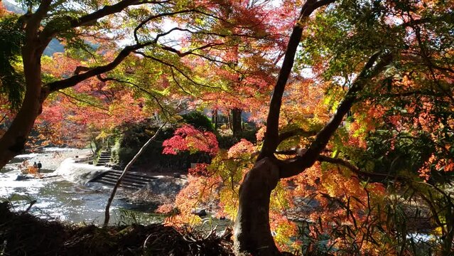 秋の風景　紅葉と川スロー撮影