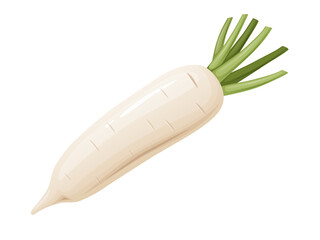 Daikon radish with green stem. Horseradish rhizome plant.