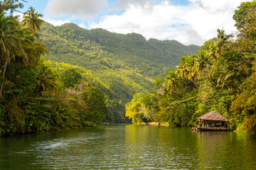 Obraz premium A small hut on tropical river with palm trees, Loboc river, Bohol, Philippines