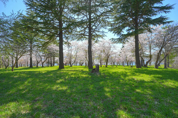 烏帽子岩公園