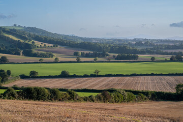 Fototapeta na wymiar View over rolling english countryside at sunset in summer under blue sky