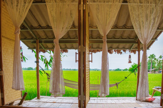 Bamboo hut homestay farm with Green rice paddy fields in Central Thailand Suphanburi region, hammock in front of a bamboo hut, view from bedroom at rice fields