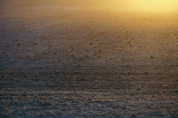 A plowed rural field illuminated by the rays of the setting sun. Orange glare of the sun. A place to copy the text. Background for use on an agro-industrial theme.