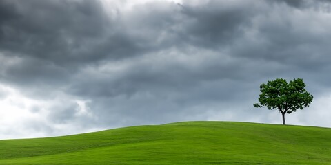 tree on rolling hills