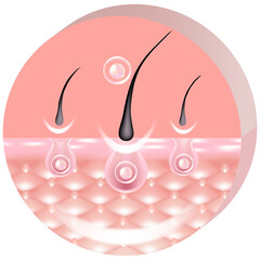 Hyaluronic acid hair removal and skin solutions, pink collagen serum drop into skin cells.
