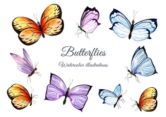 Set of watercolor colorful butterflies isolated on white background. Summer realistic illustration