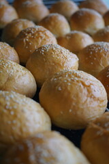 Sesame Bread Buns for Burger