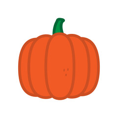 pumpkin isolated on white, pumpkin icon, illustration. 