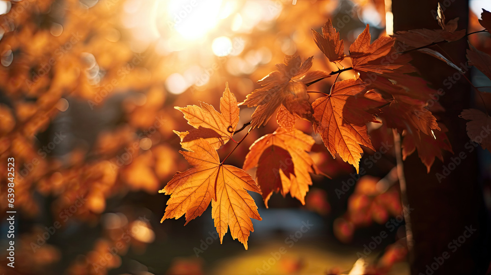 Wall mural autumn leaves on the sun and blurred trees for fall background. generative ai