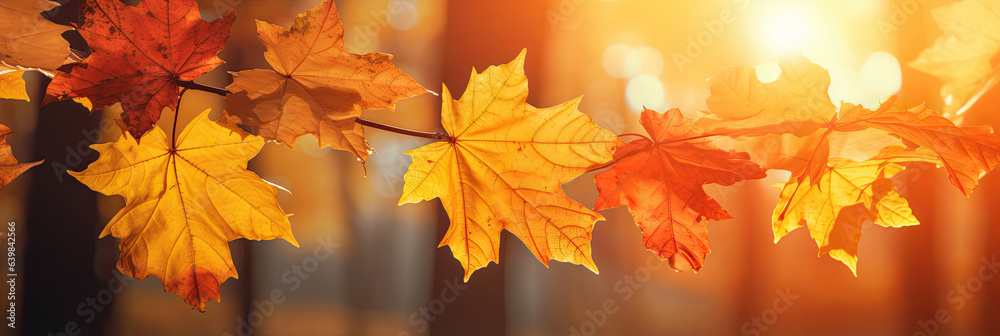 Wall mural autumn leaves on the sun and blurred trees for fall background. generative ai