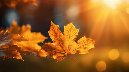 Naklejka na ściany i meble Autumn leaves on the sun and blurred trees for fall background. Generative Ai