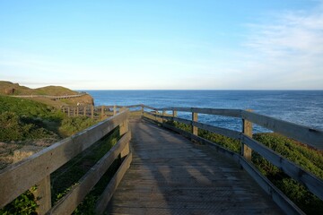 Obraz premium Walkway, path, footpath, pathway with nature for walking along